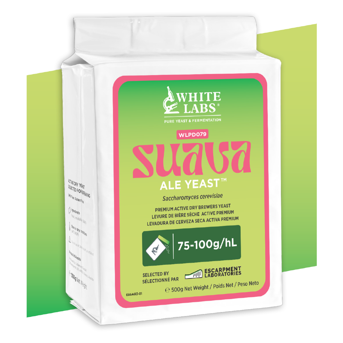 WLPD079 Suava Ale Yeast